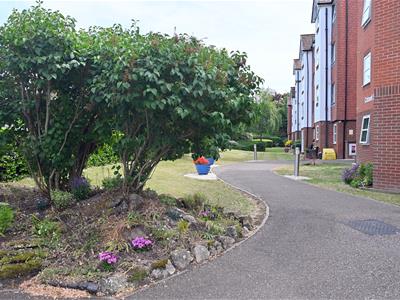Picture 11